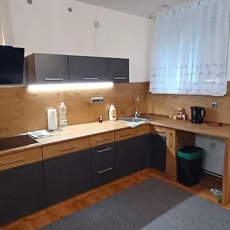 Baerenstein Apartamento Vejprty