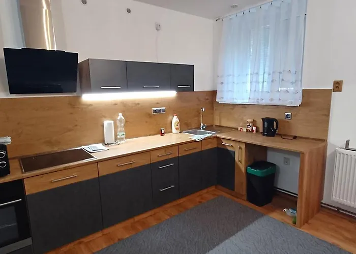Baerenstein Lägenhet Vejprty